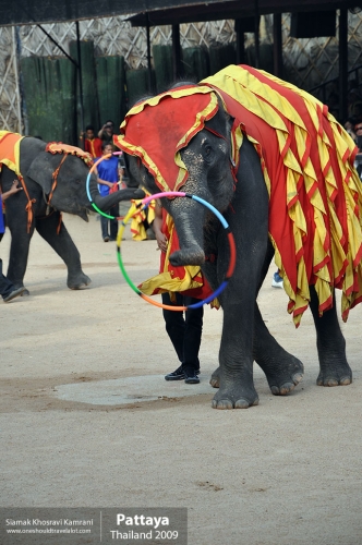 Thailand, Pattaya, Siamak Travels 068