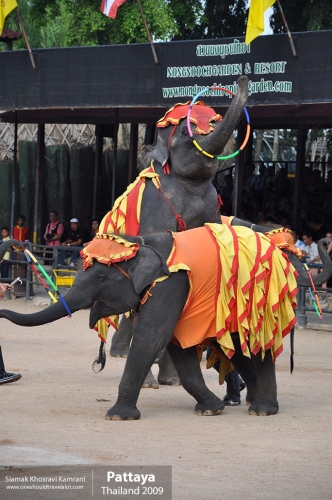 Thailand, Pattaya, Siamak Travels 069