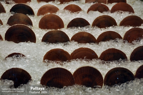 Thailand, Pattaya, Siamak Travels 084