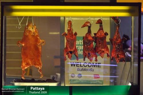 Thailand, Pattaya, Siamak Travels 100