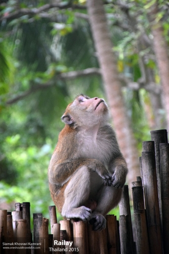 Thailand, Railay, Siamak Travels 17
