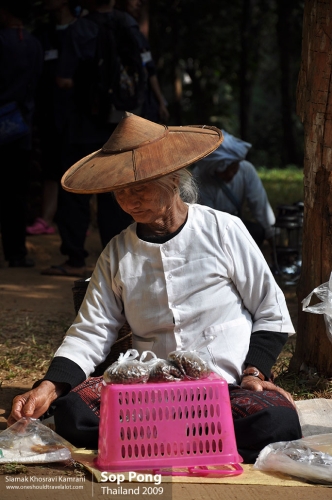 Thailand, Sop Pong, Siamak Travels 13